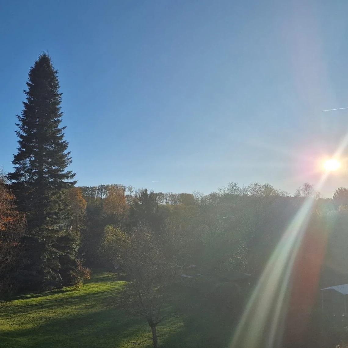 In Waldnähe